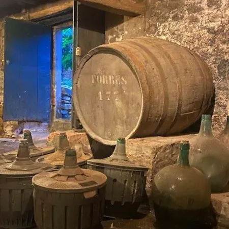 Casona De La Ribeira Sacra *